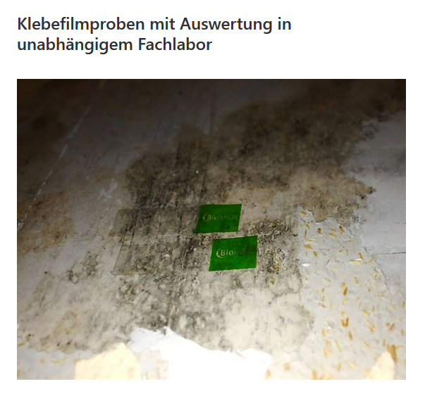 Schimmelpilzsanierung für  Reutlingen