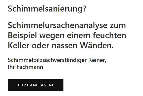 Schimmelsanierung für  Gunningen