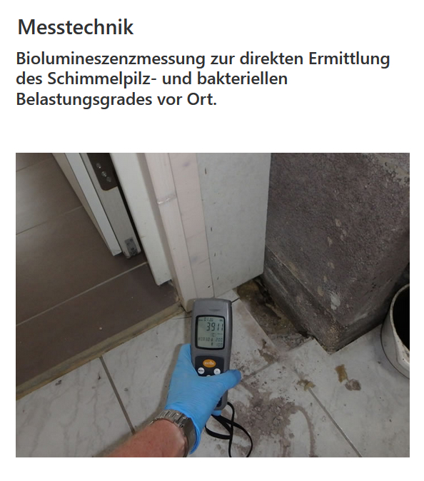 Wasserschaden Beseitigung in 88529 Zwiefalten